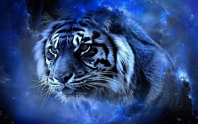 Обои картинки фото разное, компьютерный дизайн, тигр, голова, космос, синий