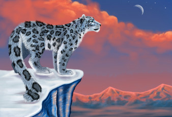 Картинка рисованные животные ирбис снег горы снежный барс