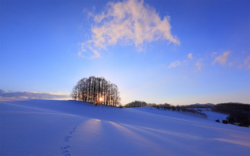 обоя природа, зима, снег, восход, утро, деревья, пейзаж