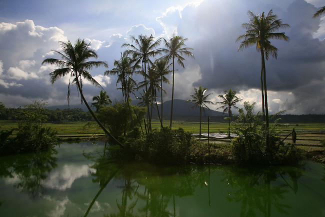 Обои картинки фото термальное, озеро, индонезия, природа, тропики, облака, вода, пальмы, горы