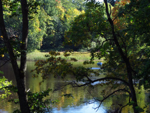 Картинка санкт петербург ораниенбаум природа реки озера осень река лес