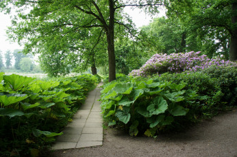 Картинка дания grаsten природа парк дорожка цветы растения