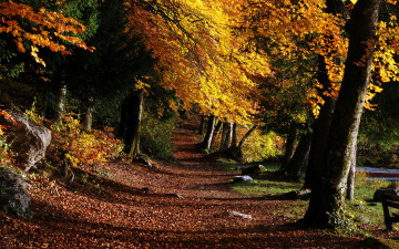 Картинка франция бонльё природа парк осень