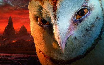 Картинка легенды ночных стражей мультфильмы legend of the guardians owls ga’hoole сова