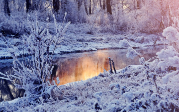 Картинка природа зима иней река деревья