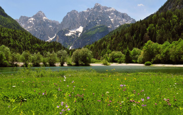 Картинка природа пейзажи горы река луг трава цветы