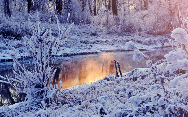 Обои картинки фото природа, зима, иней, река, деревья