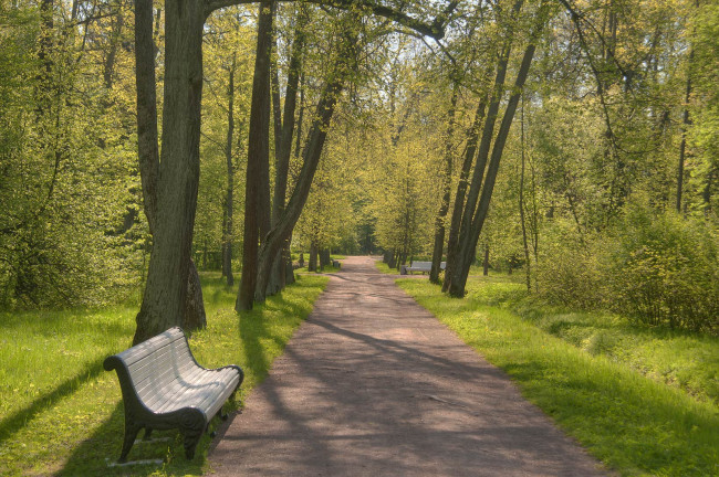 Обои картинки фото природа, парк, скамейка, деревья, дорожка