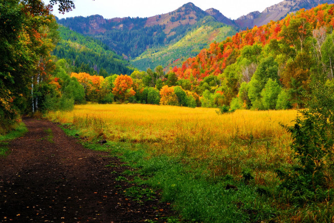 Обои картинки фото природа, дороги, лес, горы, осень