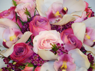 Картинка цветы букеты композиции фрезии букет розы орхидеи