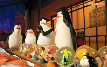обоя мультфильмы, the penguins of madagascar, клюв, глаза, пингвины