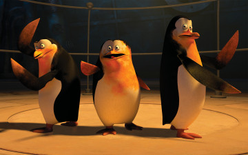 Картинка мультфильмы the+penguins+of+madagascar клюв глаза пингвины