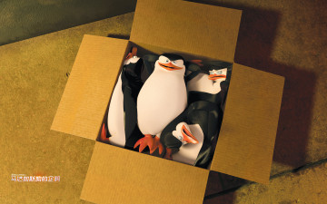 обоя мультфильмы, the penguins of madagascar, коробка, пингвины, клюв, глаза