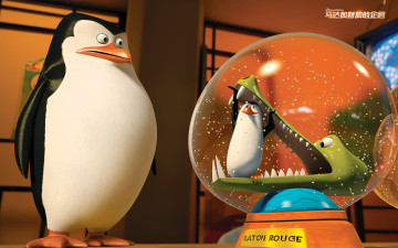 обоя мультфильмы, the penguins of madagascar, пингвин, глаза, клюв