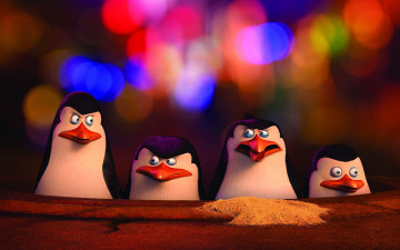 обоя мультфильмы, the penguins of madagascar, пингвины, глаза, клюв