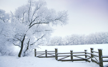 Картинка природа зима снег деревья пейзаж