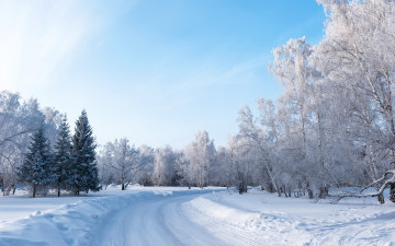 Картинка природа зима снег деревья пейзаж дорога