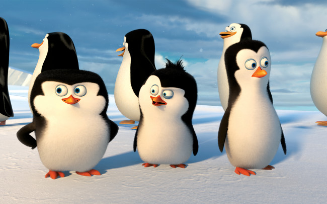 Обои картинки фото мультфильмы, the penguins of madagascar, глаза, пингвины, клюв