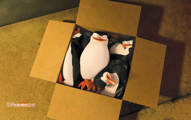 Обои картинки фото мультфильмы, the penguins of madagascar, коробка, пингвины, клюв, глаза