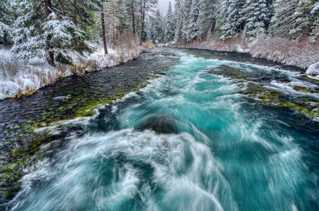 Обои картинки фото природа, реки, озера, пена, снег, поток, река, лес, деревья, вода