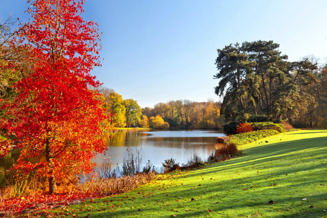 Обои картинки фото природа, парк, река, деревья, трава, осень, пейзаж