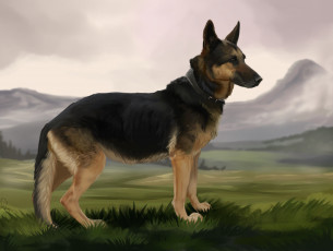 Картинка рисованное животные +собаки поле фон взгляд собака