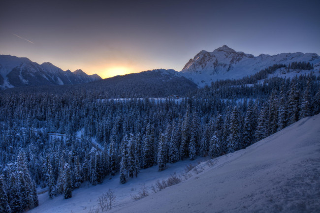 Обои картинки фото природа, горы, лес, зима, снег, рассвет