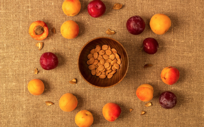 Обои картинки фото еда, персики,  сливы,  абрикосы, орешки, абрикос, слива