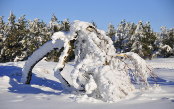 Картинка природа зима ай-петри крым снег