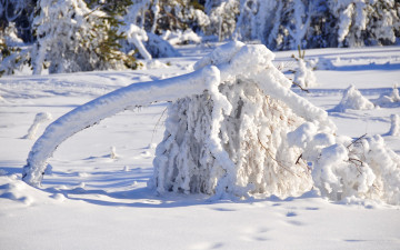 Картинка природа зима снег ай-петри крым