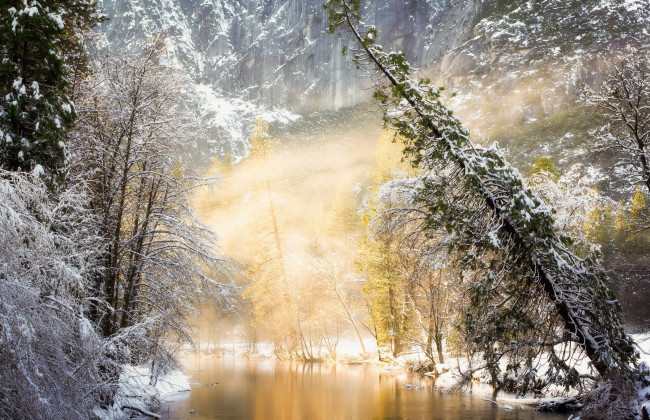 Обои картинки фото природа, зима, лес, река, солнце