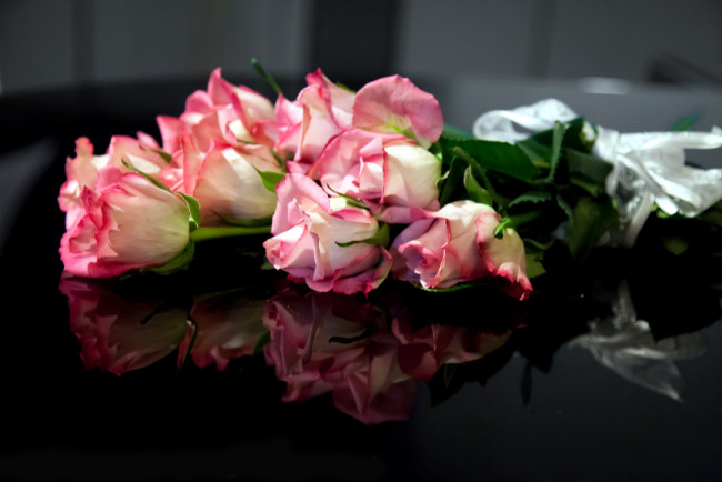 Обои картинки фото цветы, розы, отражение