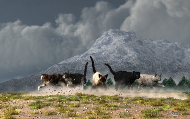 Обои картинки фото 3д графика, животные , animals, коты, горы, луг