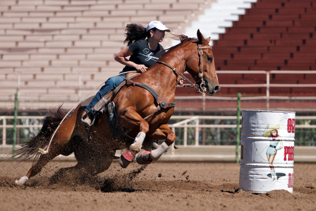 Обои картинки фото спорт, конный спорт, конь, девушка