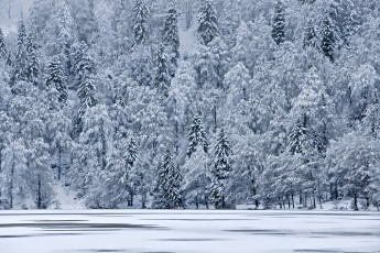 Картинка природа зима снег лед озеро склон деревья елки гора