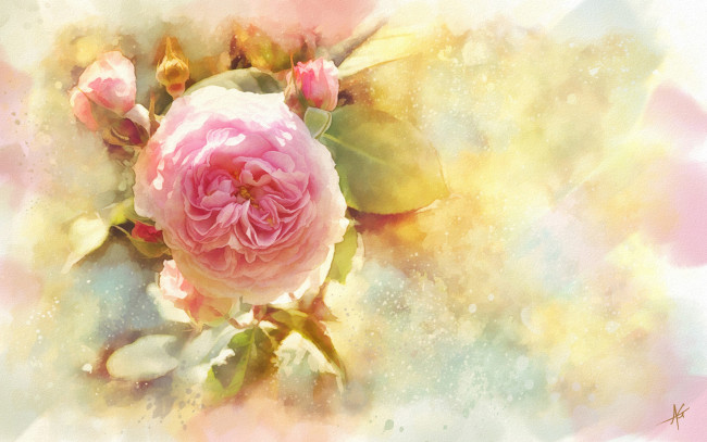 Обои картинки фото рисованное, цветы, акварель, бутоны, роза, цветок