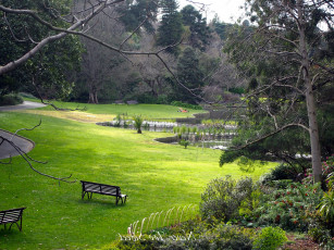 Картинка природа парк лужайка водоем скамейки