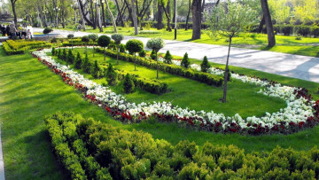 Картинка природа парк цветы аллея клумба