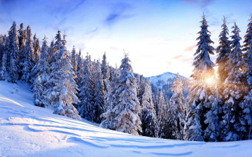 Картинка природа зима снег горы сугробы деревья