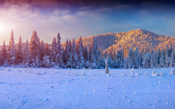 Картинка природа зима закат горы деревья снег