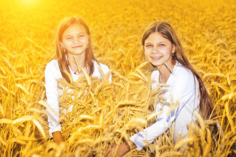 обоя разное, дети, девочки, поле, колосья, пшеница
