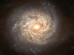 Картинка ngc 3982 перед взрывом сверхновой космос галактики туманности