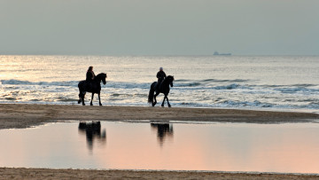 Картинка животные лошади пара всадники прогулка море берег