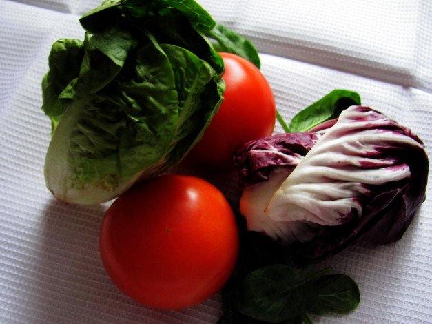 Обои картинки фото еда, овощи, салат, помидоры, томаты