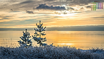 Картинка календари природа водоем снег деревья 2018