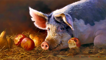 Картинка календари рисованные +векторная+графика яблоко груша свинья огрызок поросенок