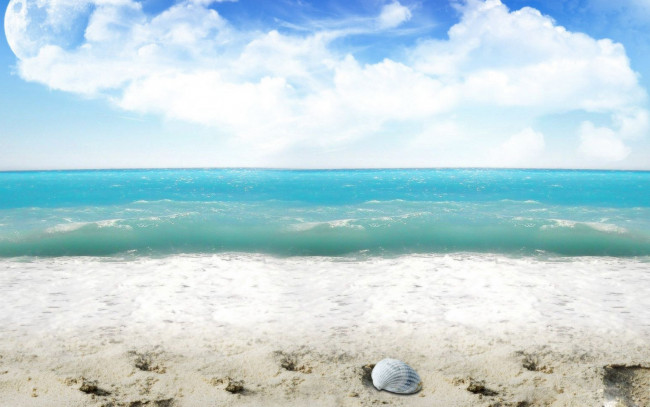 Обои картинки фото природа, побережье, песок, море, облака, ракушка