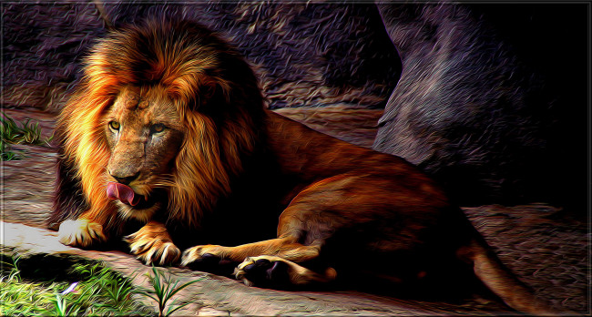 Обои картинки фото разное, компьютерный дизайн, лев, царь, зверей, хищник, графика, дизайн