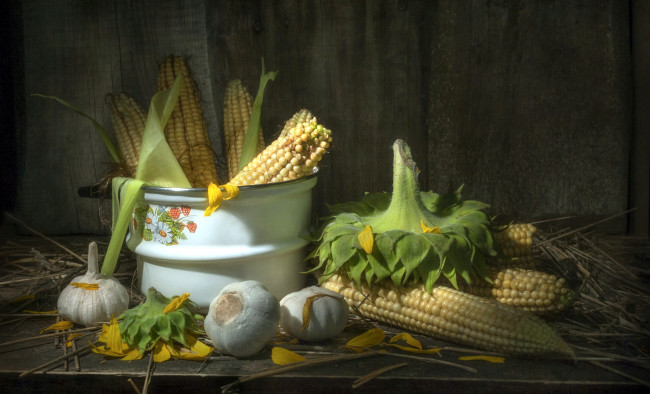 Обои картинки фото еда, кукуруза, чеснок, подсолнух