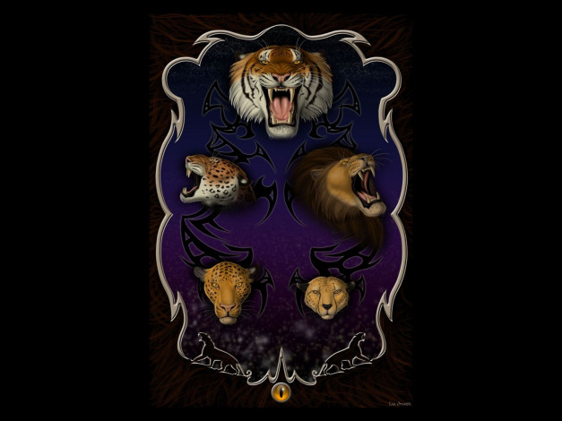 Обои картинки фото project, felin, рисованные, животные, тигр, лев, ягуар, леопард, гепард
